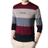 Men's Round Neck Striped Knitted Shirt