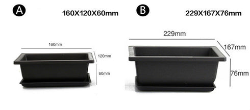 Garden supplies antique plant