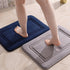 Simple Bathroom Entrance Mat