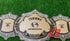 DG-5005S Undertaker 30 Years Signature Series Wrestling Belt