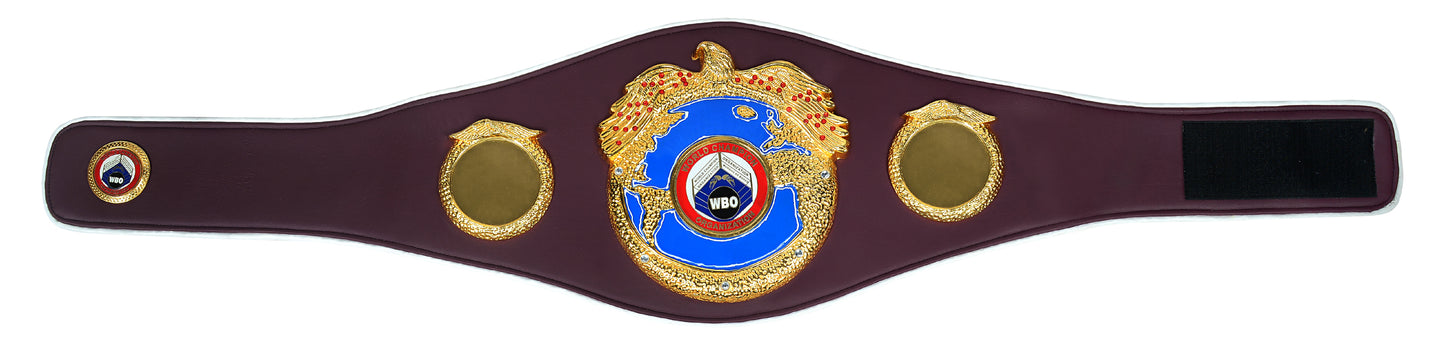 World Boxing Organization World Champion DG-502