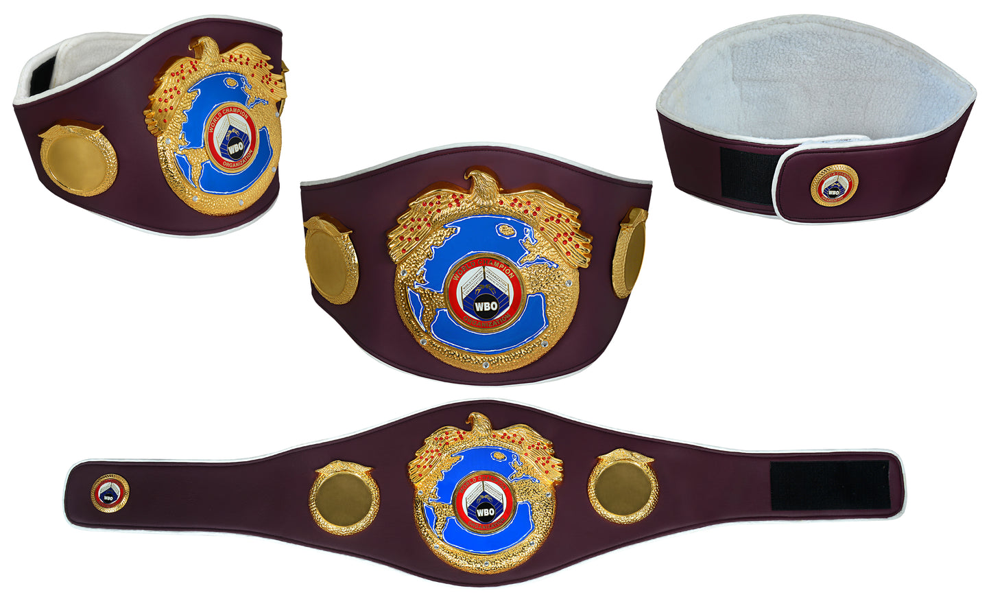 World Boxing Organization World Champion DG-502